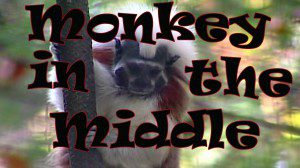 MonkeyInTheMiddleThumb